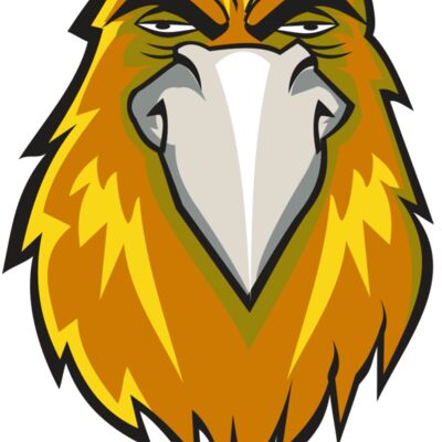 HAWK HD0501 RQC Thumbnail