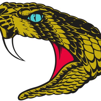 BAW SNAKE 16 RC Thumbnail